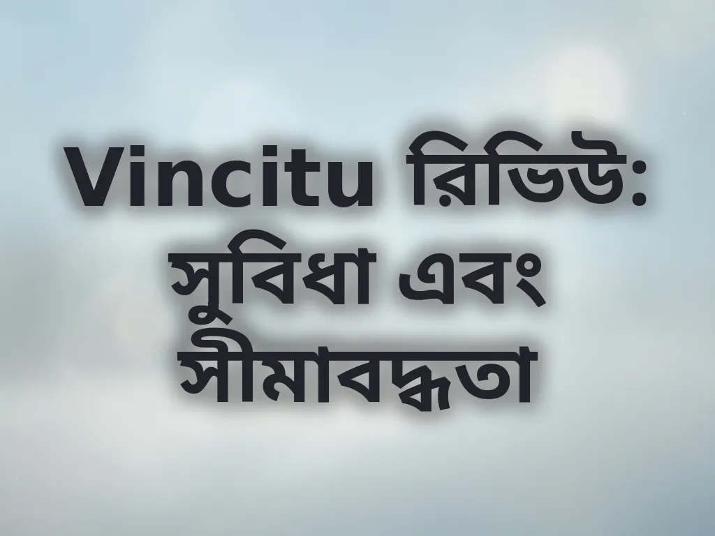 Vincitu রিভিউ