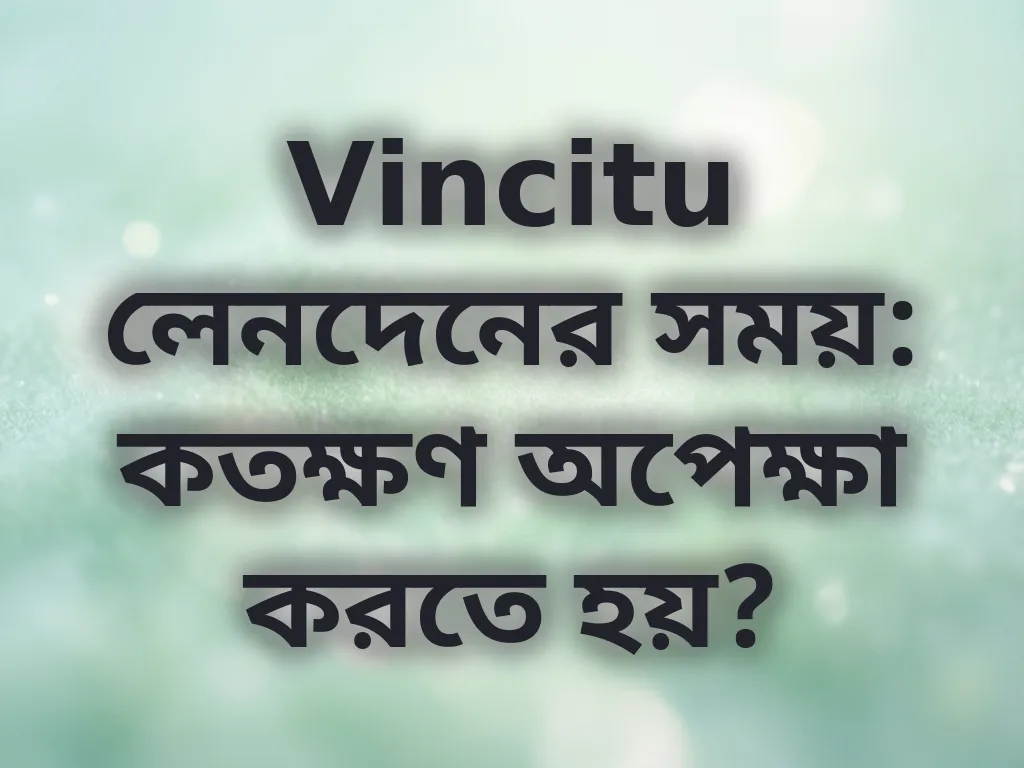 Vincitu প্রসেসিং টাইম